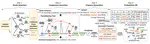 Maps-kb: A million-scale probabilistic simile knowledge base